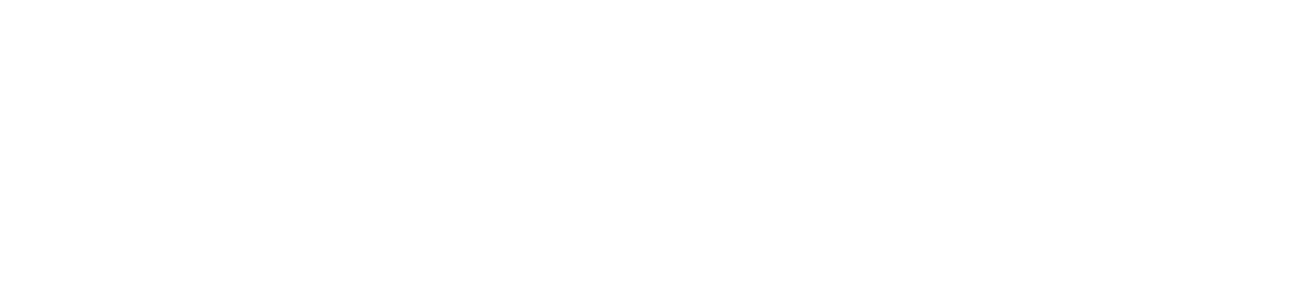 logo fiemme bianco